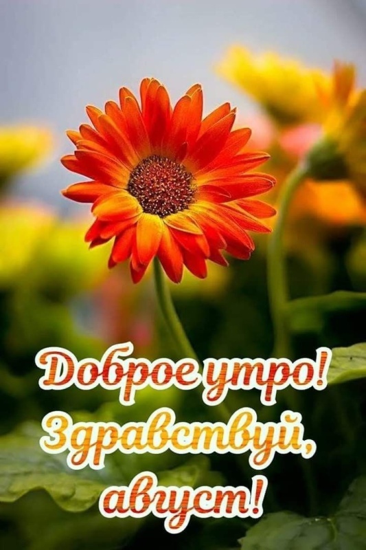 Картинки Доброе утро августа. Красивые картинки Доброе утро августа