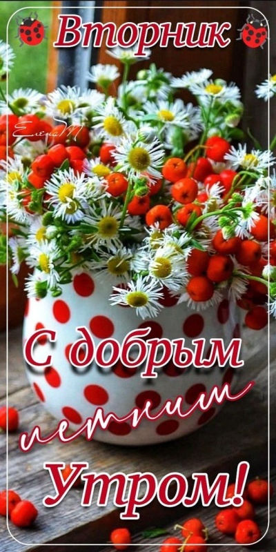 Картинки Доброе утро вторника. Картинки Доброе утро вторника - красивые и новые