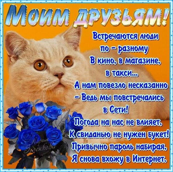 Картинки и открытки "Международный день дружбы". Международный День дружбы - открытки с поздравлениями