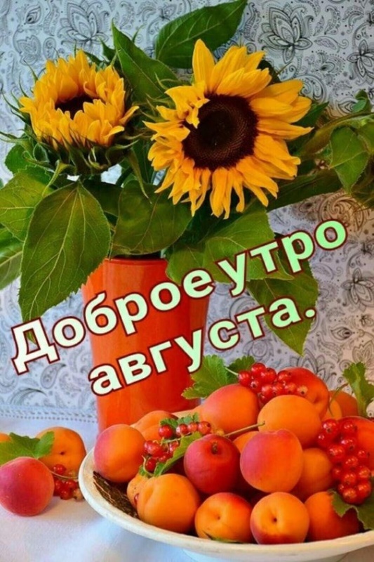 Картинки Доброе утро августа. Картинки "Доброе утро августа" позитивные