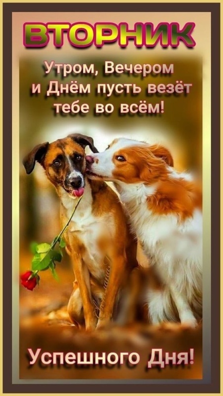 Картинки Доброе утро вторника. Картинки Доброе утро вторника - красивые и новые