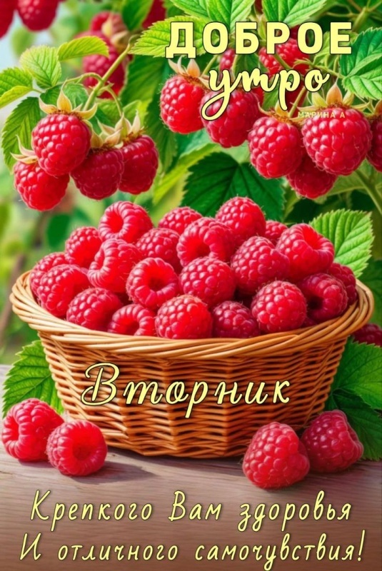 Картинки Доброе утро вторника. Доброе утро вторника - картинки с надписью