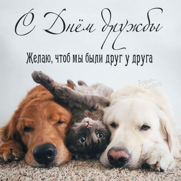 Картинки и открытки "Международный день дружбы". Красивые открытки с Международным Днем дружбы