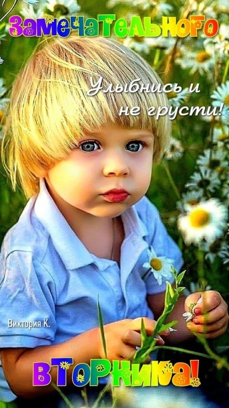 Картинки Доброе утро вторника. Позитивные картинки Доброе утро