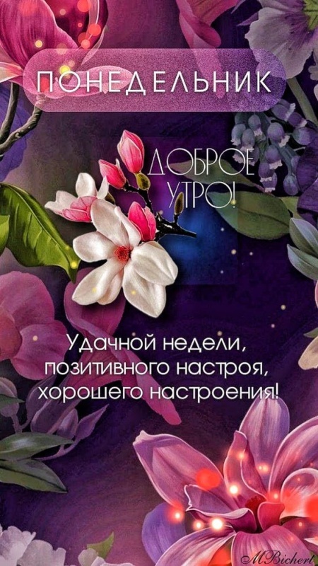 Картинки Доброе утро понедельника (90 открыток). Красивые картинки Доброе утро понедельника