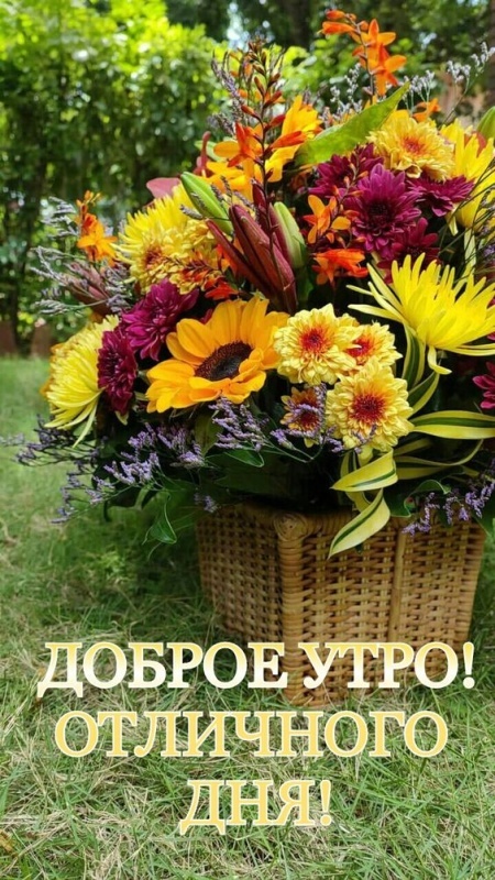 Картинки Доброе утро августа. Картинки "Доброе утро августа" позитивные
