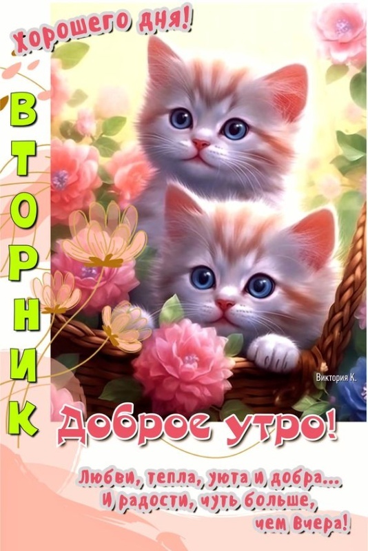 Картинки Доброе утро вторника. Позитивные картинки Доброе утро