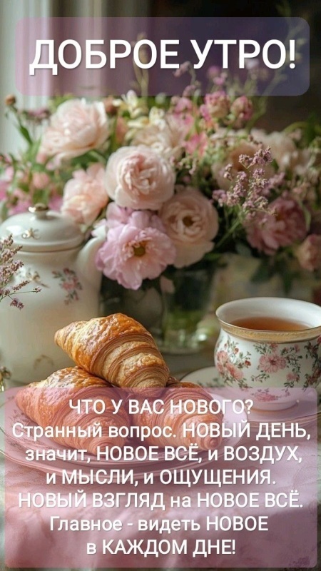 Картинки Доброе утро понедельника (90 открыток). Красивые картинки Доброе утро понедельника