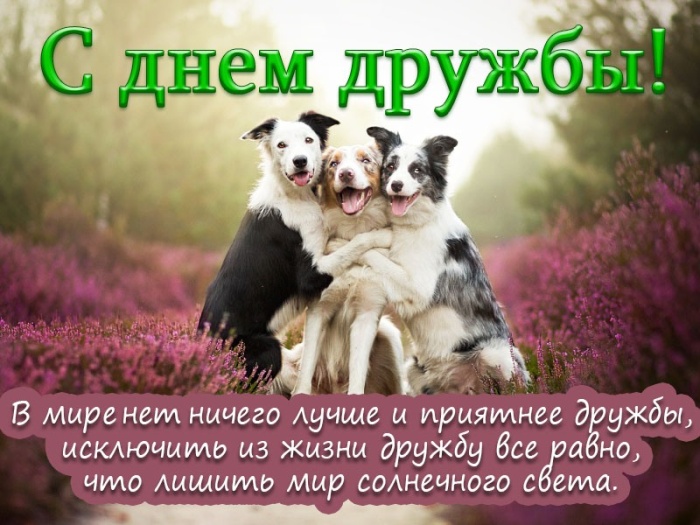 Картинки и открытки "Международный день дружбы". Международный День дружбы - открытки с поздравлениями