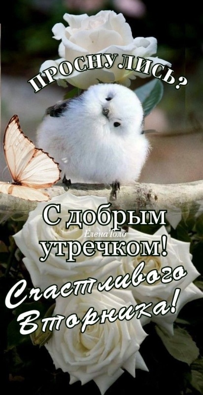 Картинки Доброе утро вторника. Позитивные картинки Доброе утро