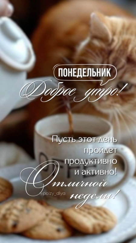 Картинки Доброе утро понедельника (90 открыток). Красивые картинки Доброе утро понедельника
