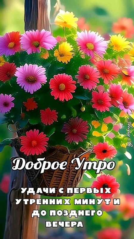 Картинки Доброе утро августа. Картинки "Доброе утро августа" позитивные