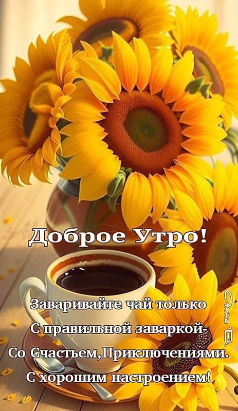 Картинки Доброе утро августа. Красивые картинки Доброе утро августа