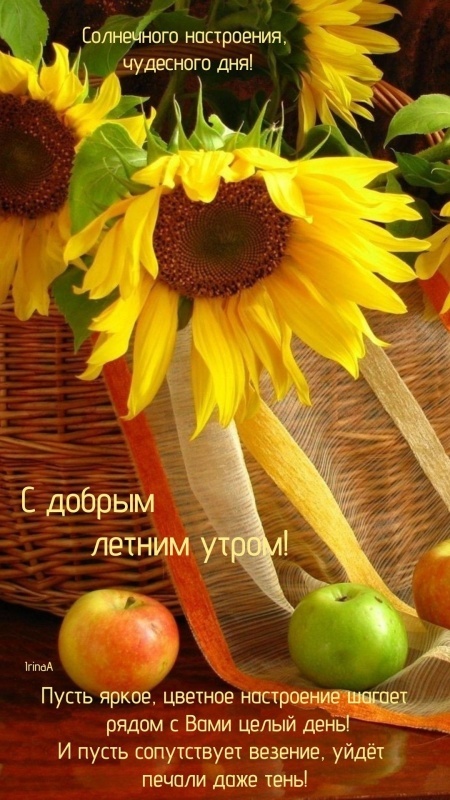 Картинки Доброе утро августа. Красивые картинки Доброе утро августа