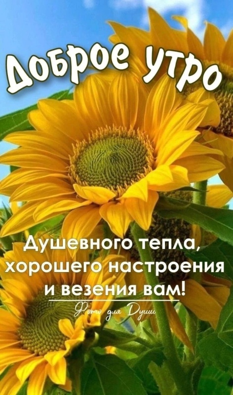 Картинки Доброе утро августа. Красивые картинки Доброе утро августа