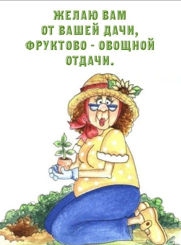 Прикольные открытки с Днем дачника . Прикольные открытки с Днем дачника