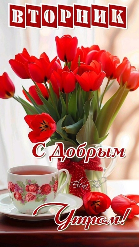 Картинки Доброе утро вторника. Картинки Доброе утро вторника - красивые и новые