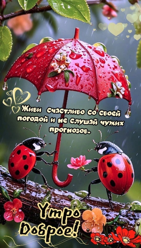 Картинки Доброе утро августа. Красивые картинки Доброе утро августа