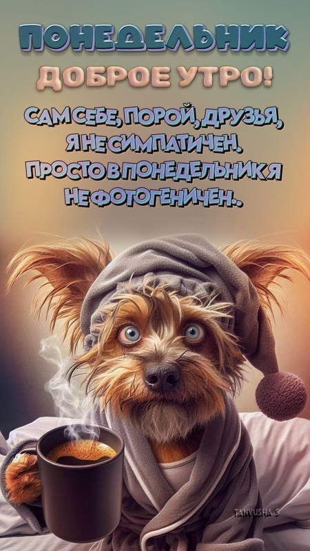 Картинки Доброе утро понедельника (90 открыток). Прикольные картинки Доброе утро понедельника