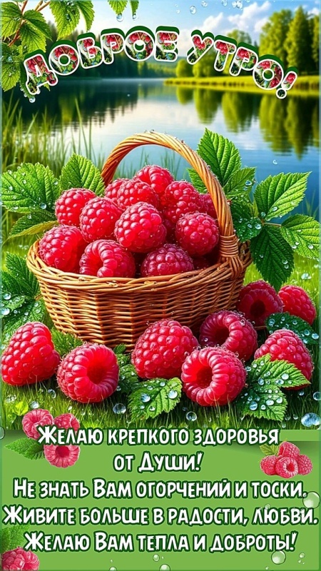 Картинки Доброе утро августа. Красивые картинки Доброе утро августа