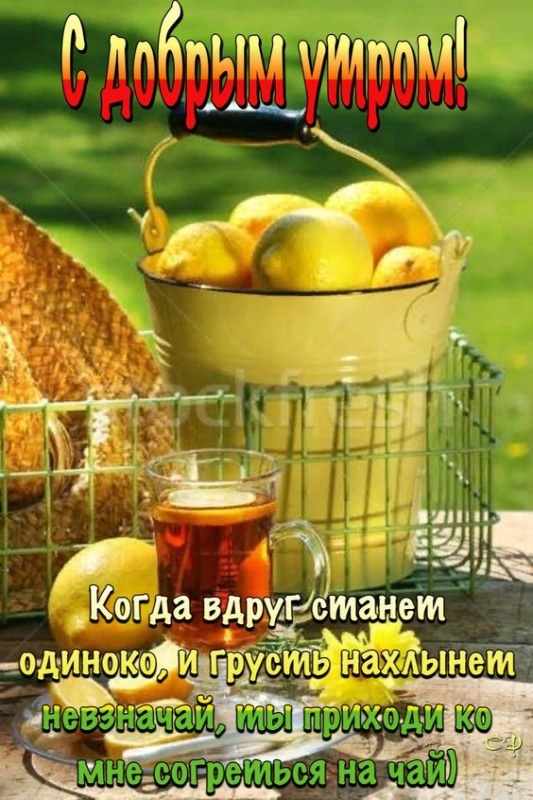 Картинки Доброе утро августа. Картинки "Доброе утро августа" позитивные