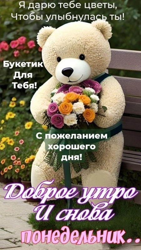 Картинки Доброе утро понедельника (90 открыток). Доброе утро понедельника - картинки позитивные