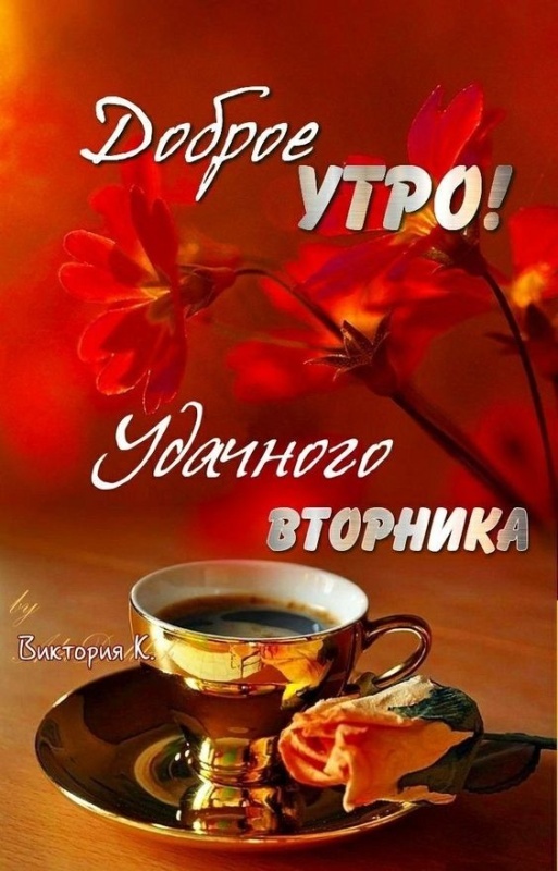 Картинки Доброе утро вторника. Картинки Доброе утро вторника - красивые и новые