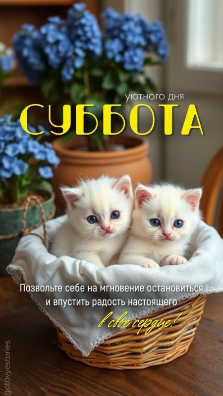 Красивые картинки Доброе утро субботы. Красивые картинки Доброе утро субботы