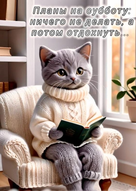 Красивые картинки Доброе утро субботы. Доброе утро субботы - картинки красивые и позитивные