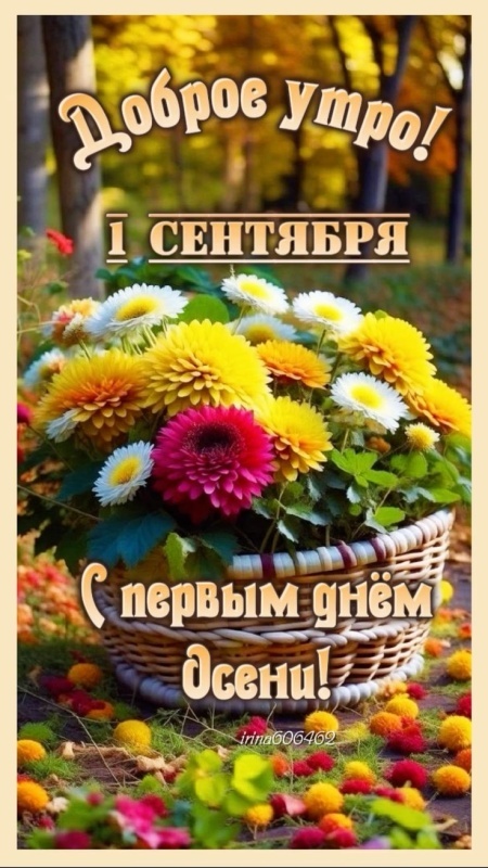 Красивые картинки с 1 сентября. Красивые картинки с 1 сентября