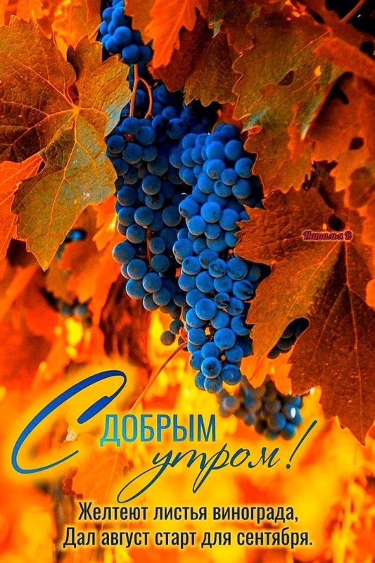 Красивые картинки Доброе осеннее утро. Красивые картинки Доброе осенее утро