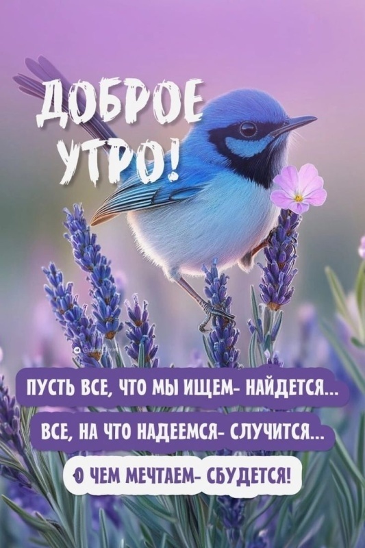 Картинки с началом августа (с 1 августа). Картинки "С первым августа" 