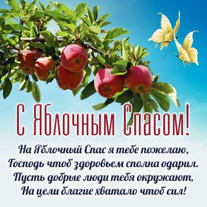 Яблочный Спас - открытки с поздравлениями. Красивые открытки "С Яблочным Спасом" с пожеланиями