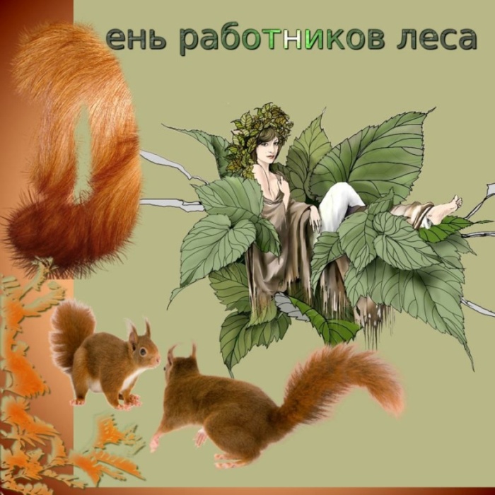 Картинки с Днем работников леса и лесоперерабатывающей промышленности. С Днем работнков леса - открытки прикольные