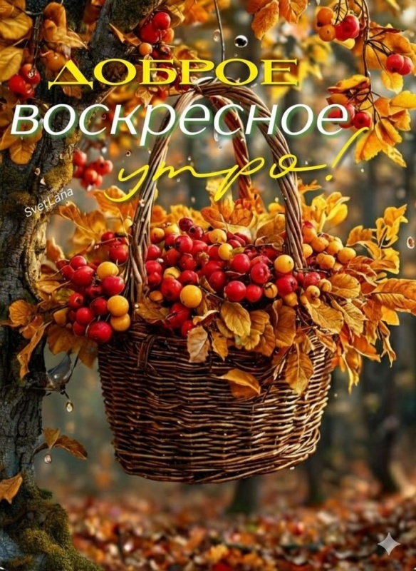 Картинки Доброе утро воскресенья (100 открыток)