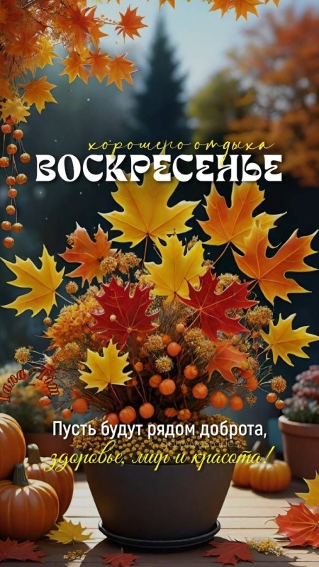 Картинки Доброе утро воскресенья (100 открыток). Осенние картинки Доброе утро воскресенья
