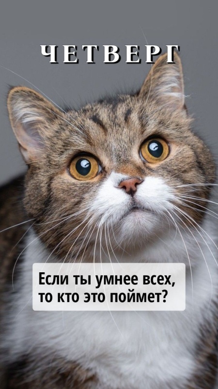Картинки Доброе утро четверга. Прикольные картинки "Доброе утро четверг"