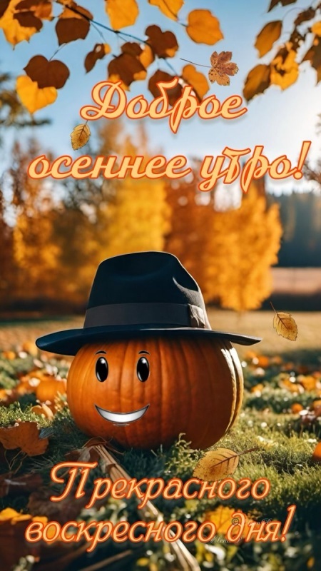 Картинки Доброе утро воскресенья (100 открыток). Осенние картинки Доброе утро воскресенья