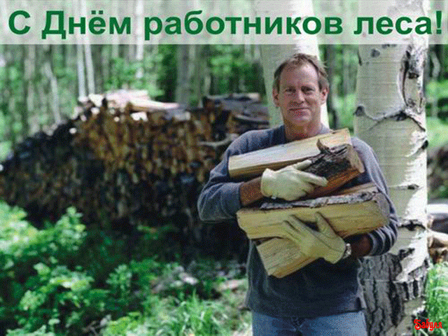 Картинки с Днем работников леса и лесоперерабатывающей промышленности. Душевные открытки на День работников леса