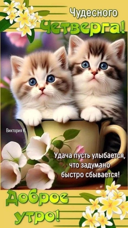 Картинки Доброе утро четверга. Прикольные картинки "Доброе утро четверг"