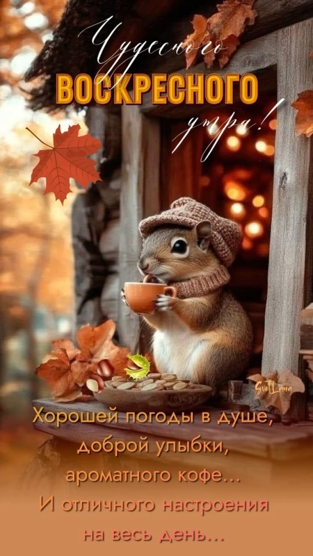 Картинки Доброе утро воскресенья (100 открыток). Осенние картинки Доброе утро воскресенья
