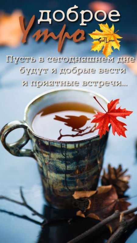 Картинки Доброе осеннее утро. Картинки "Доброе осеннее утро" с пожеланиями