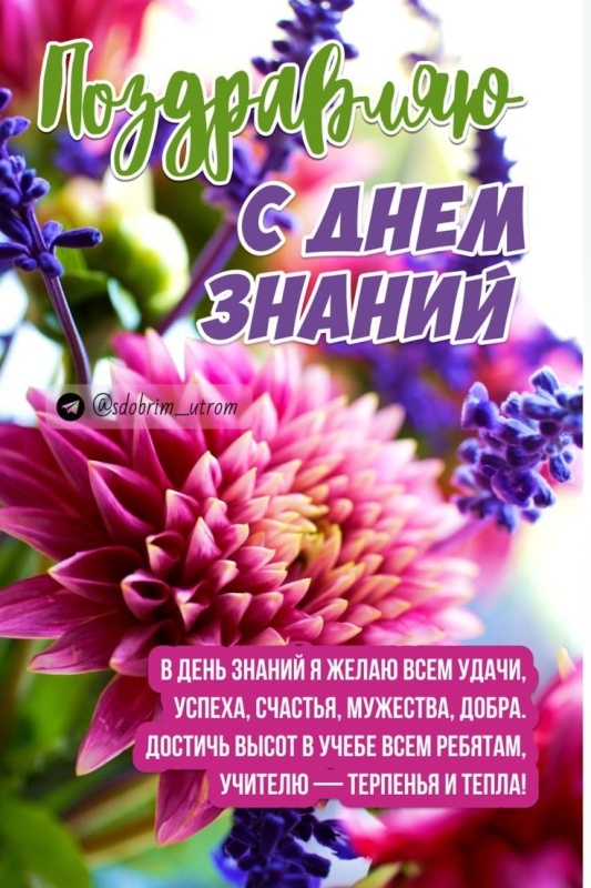 Красивые картинки на День знаний. С Днем знаний - открытки с поздравлениями