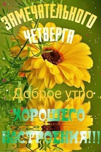 Картинки Доброе утро четверга. Красивые картинки Доброе утро четверга