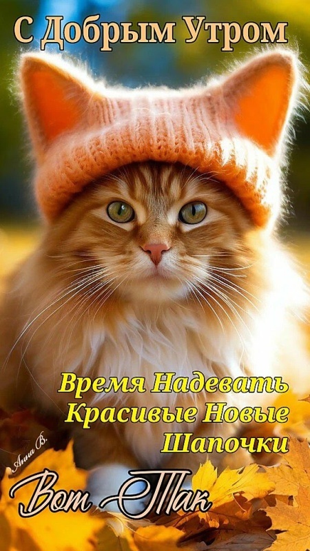 Красивые картинки Доброе осеннее утро. Картинки Доброе осеннее утро ноября