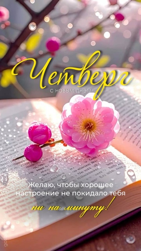 Картинки Доброе утро четверга. Красивые картинки Доброе утро четверга