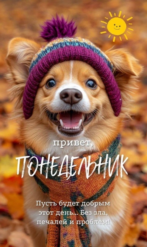 Картинки Доброе утро понедельника (90 открыток). Осенние картинки Доброе утро понедельника