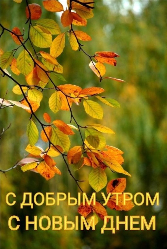 Красивые картинки Доброе осеннее утро. Картинки Доброе осеннее утро (сентябрь)