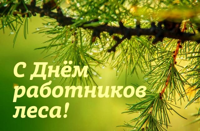 Картинки с Днем работников леса и лесоперерабатывающей промышленности. Душевные открытки на День работников леса