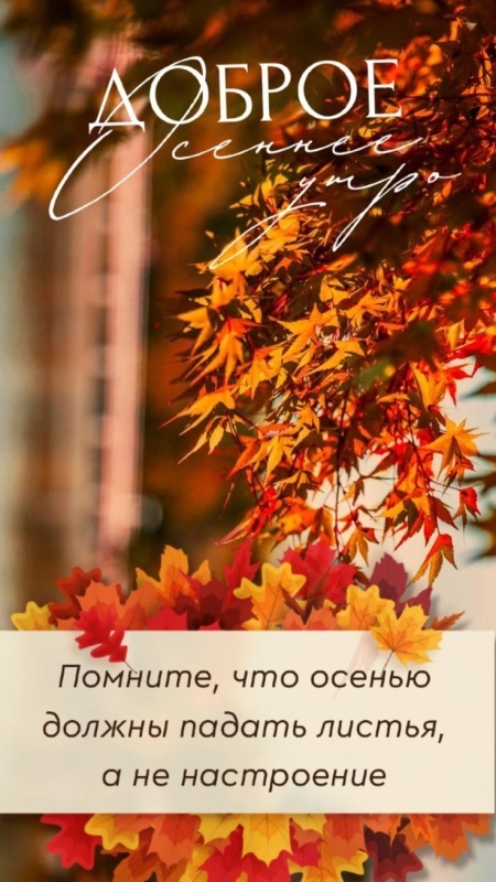 Красивые открытки "Доброе осеннее утро". Красивые открытки "С добрым осенним утром"